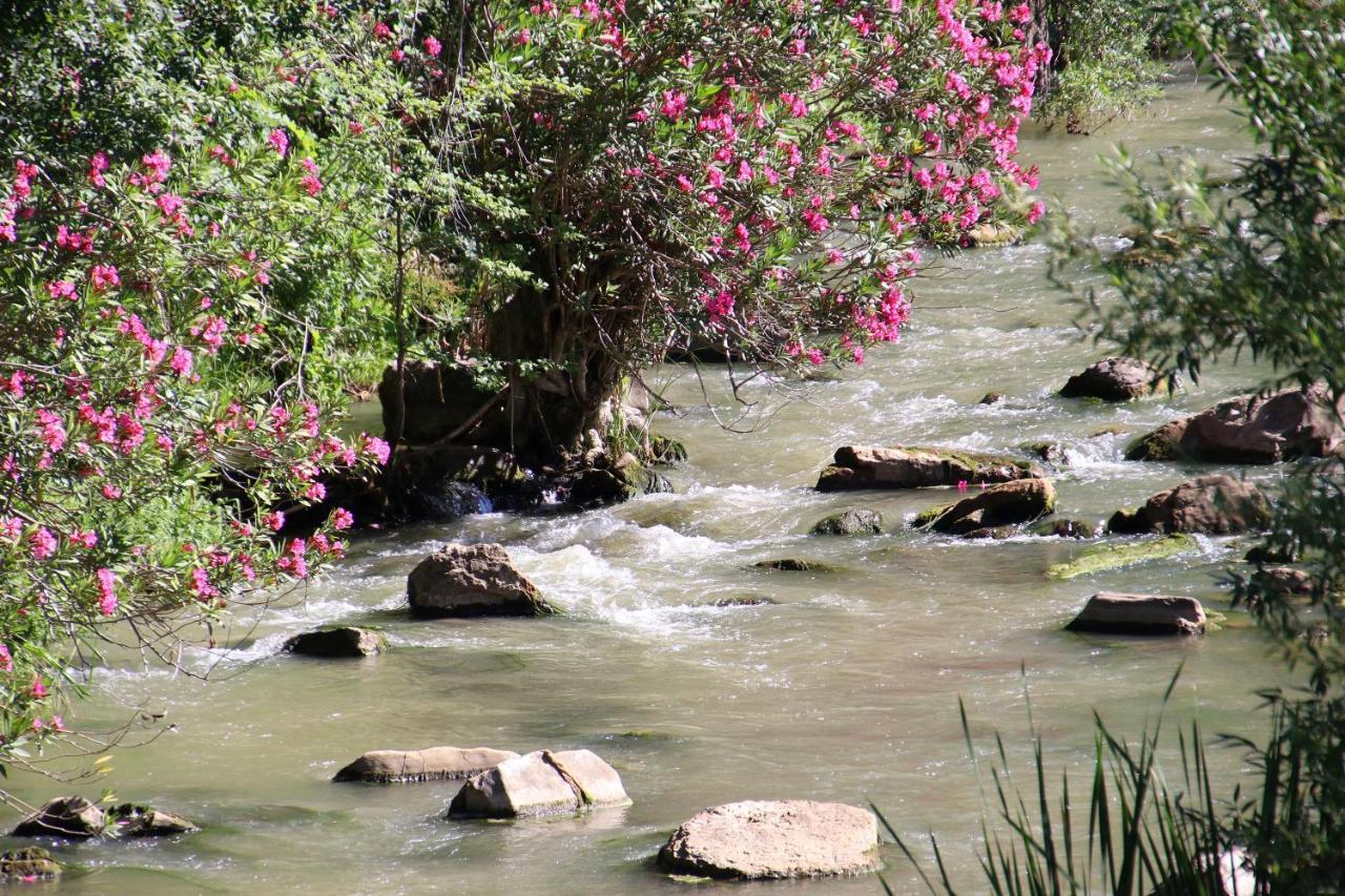 Molino Cuatro Paradas Benaoján Εξωτερικό φωτογραφία